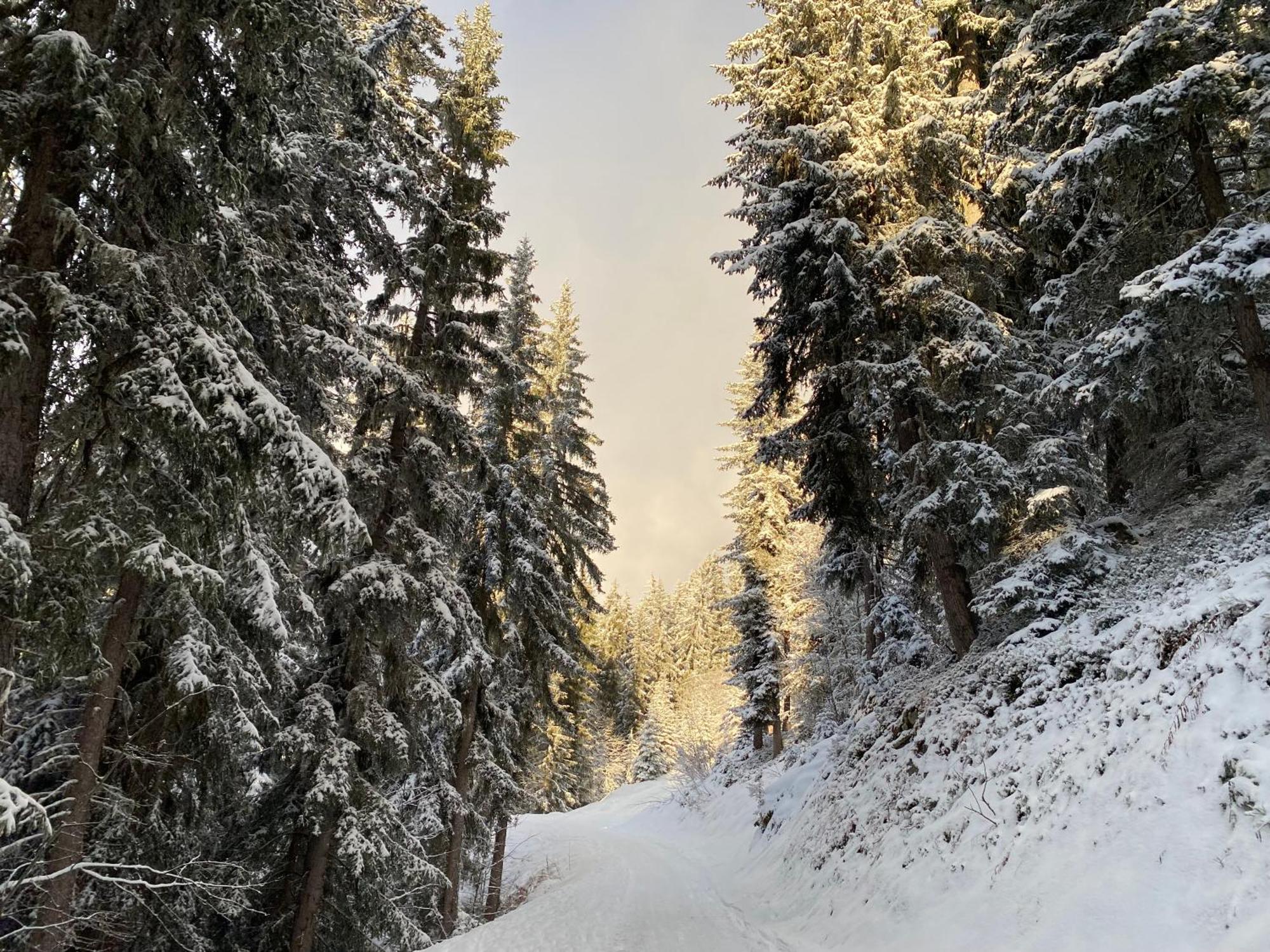 Verbier Valmont In Center Экстерьер фото